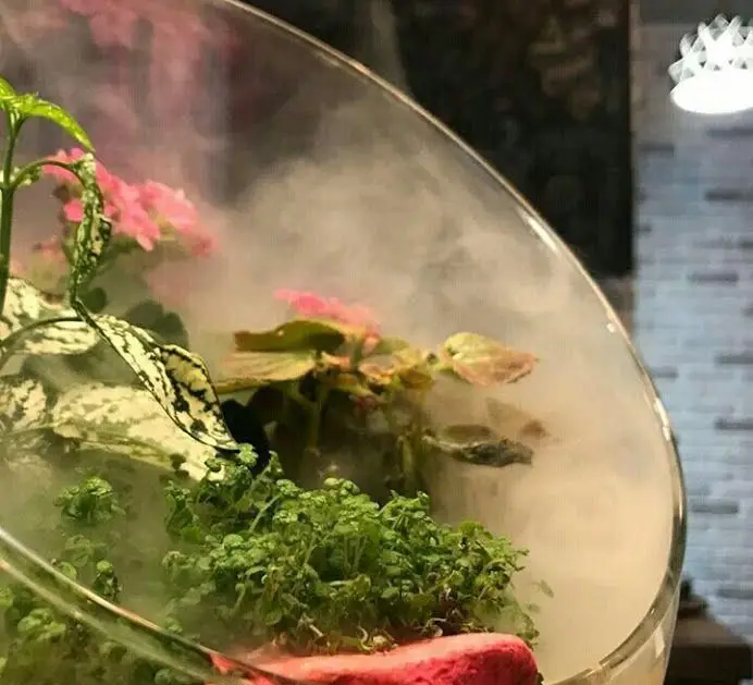 تراریوم زیبای کافه نیلو با گیاهان سبز، گلهای صورتی و مه دلنشین، فضایی آرامش‌بخش برای مشتریان خلق کرده است.