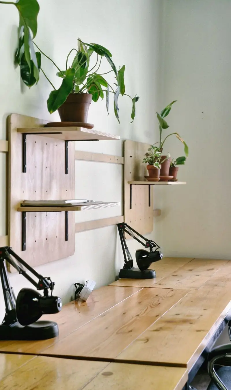 فضای کار کاربن با میزهای چوبی روشن، قفسه‌های دیواری مدرن، گیاهان سبز و چراغ‌های مطالعه برای محیطی آرام و بهره‌ور.