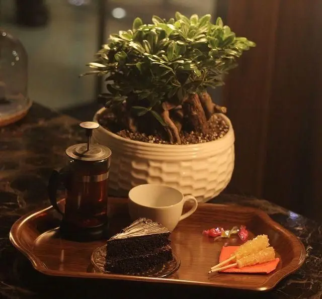 عصرانه دلچسب کافه و رستوران عمارت: سینی چوبی با فرنچ پرس قهوه، کیک شکلاتی لذیذ، فنجان و نبات. فضایی دلنشین برای دورهمی‌ها.