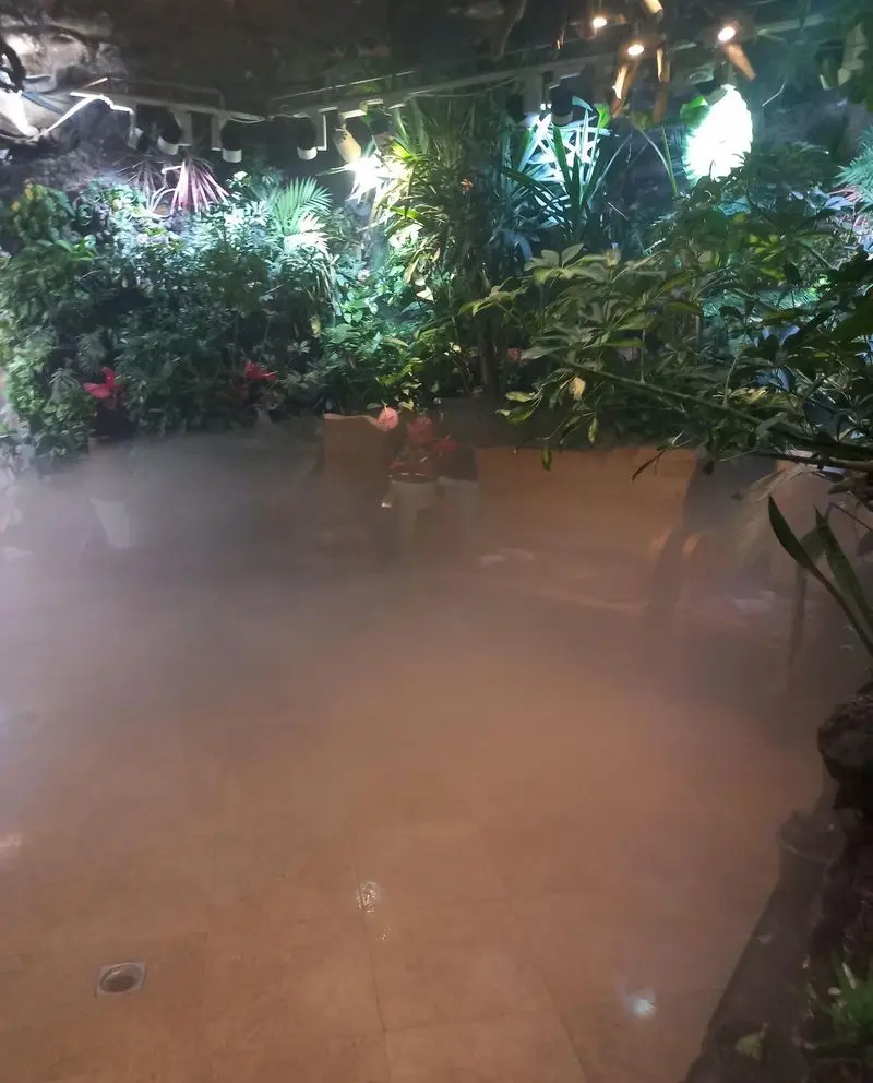 فضای داخلی رستوران هودین با دکوراسیون جنگلی، گیاهان سرسبز، مه مصنوعی و نورپردازی جذاب برای تجربه غذایی دلپذیر.