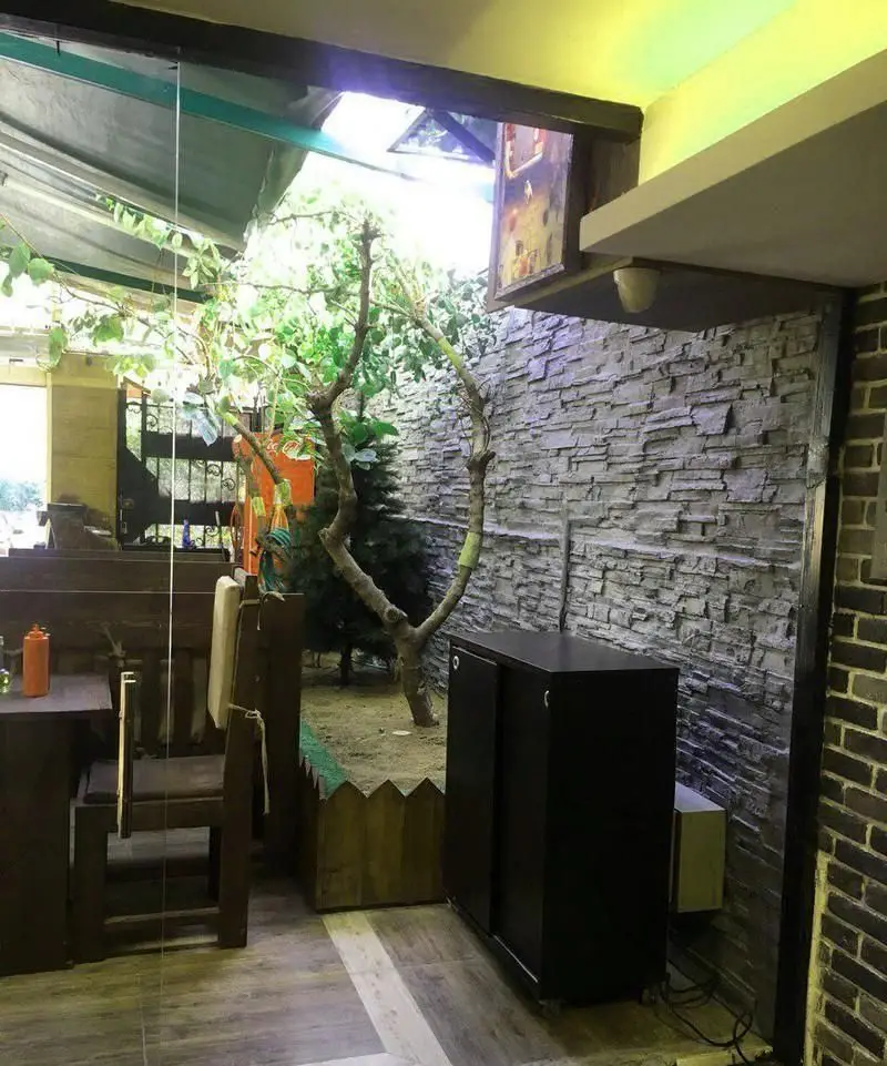 نمایی زیبا از فضای داخلی و دکوراسیون چوبی کافی شاپ 4 چوب با فضای سبز، درختان طبیعی، دیوار سنگی و میز و صندلیهای چوبی دنج.