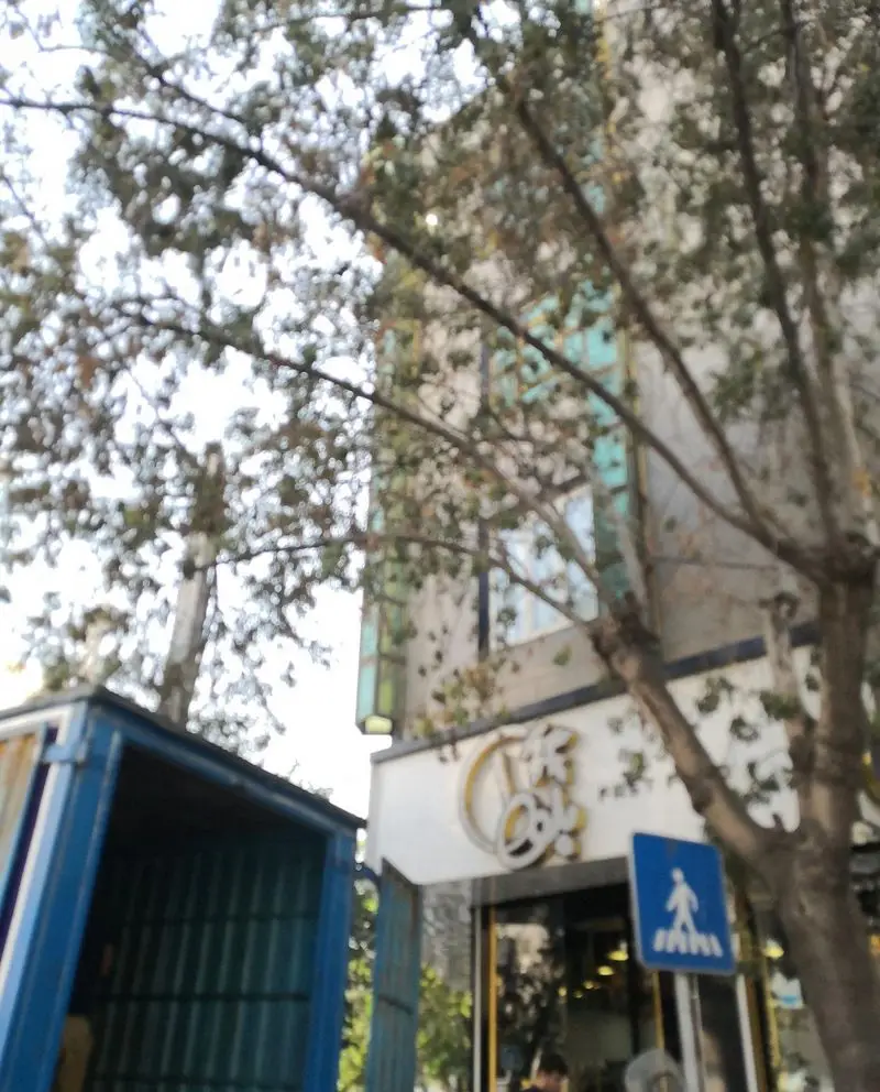 نمای بیرونی فست فود بلوط با تابلوی روشن و ورودی آن، همراه با درختان سبز در اطراف و یک کانتینر آبی در پیش‌زمینه.