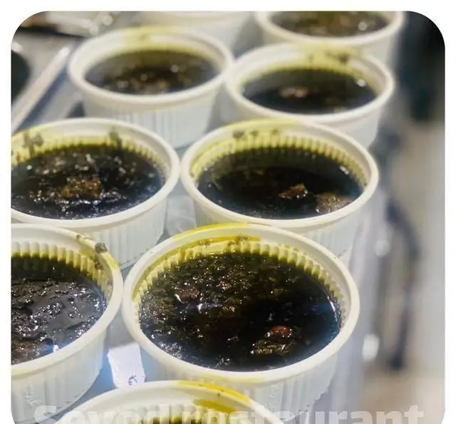 خورشت قورمه سبزی مجلسی و جاافتاده رستوران سید شهرری، آماده در ظروف بیرون‌بر. غذای ایرانی اصیل برای کترینگ و سفارش آنلاین