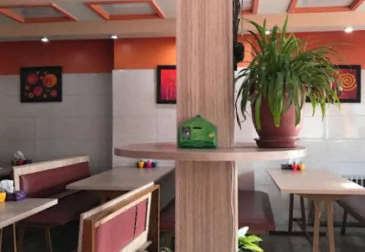 فضای داخلی گرم و صمیمی رستوران پیتزا میلان، شامل میز و نیمکت‌های غذاخوری، دیوار‌های دکوراتیو و گلدان‌های سبز تزیینی.