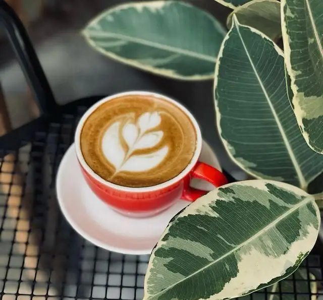 یک فنجان قهوه لاته داغ با لاته آرت هنرمندانه روی میز کافه، احاطه شده با برگ‌های طبیعی سبز و سفید. کافه رستوران پلاک ٥.