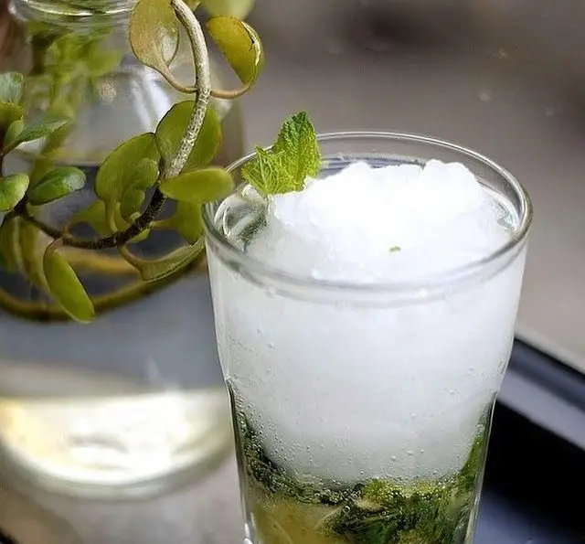 نوشیدنی موهیتو خنک و تازه با نعنا و یخ در لیوان، آماده سرو در کافه رستوران پلاک ۵. لذت طعم واقعی در محیطی دلنشین و آرامش‌بخش.