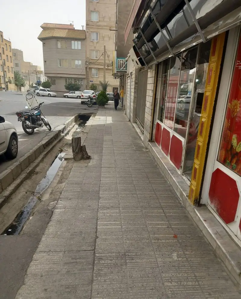 نمای بیرونی مغازه فلافل سید ۱۰۰۱ در خیابان، با پیاده‌رو و ساختمان‌های شهری در پس‌زمینه و چند خودرو.