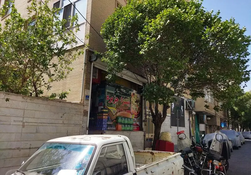 نمای بیرونی کسب و کار فلافل جزیره در یک روز آفتابی، شامل تابلوی رنگارنگ با غذا، نوشیدنی‌های چیده شده، درختان سرسبز و خودرویی در خیابان شهر.