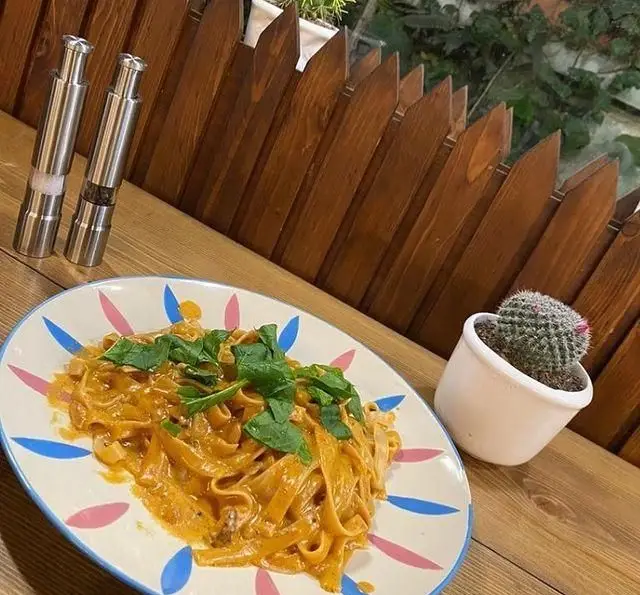 نمایی دلنشین از یک وعده پاستای لذیذ در کافه مونو، همراه با فلفل‌ساب و کاکتوس روی میز چوبی، فضایی آرامش‌بخش و زیبا.