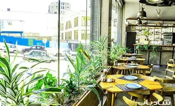 رستوران ایتالیایی اسپرلوس، فضایی دنج و مدرن با دکوراسیون سبز، میز و صندلی‌های چوبی و پنجره‌های بزرگ رو به شهر.