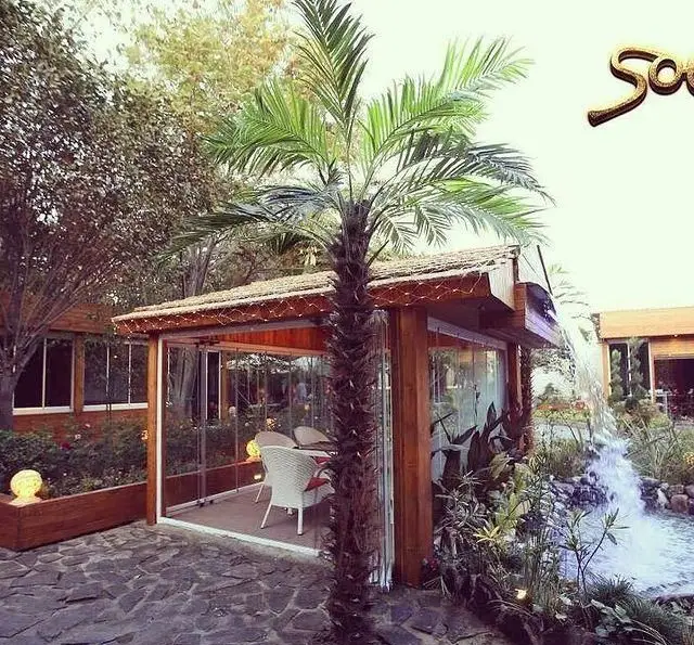 رستوران و کافی شاپ دورهمی: فضای باز زیبا با نخل، آبشار، نشیمن شیشه‌ای سقف‌دار سنتی، میز و صندلی‌های شیک و محیطی آرام.