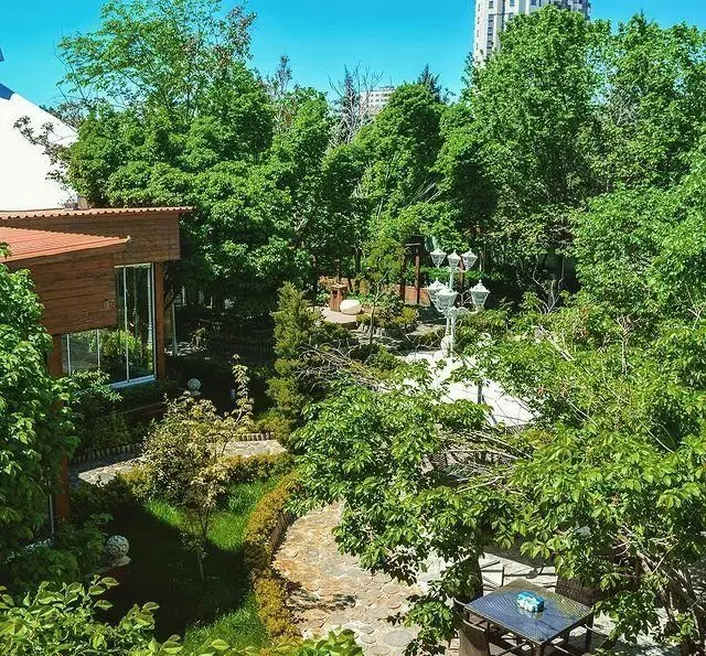 فضای باغ‌مانند رستوران و کافی شاپ دورهمی: چشم‌اندازی زیبا از محیطی سرسبز با درختان انبوه، مسیرهای سنگی و میز و صندلی‌های فضای باز.