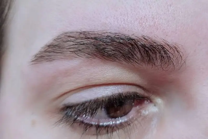 نمای نزدیک از ابرو و چشم مشتری سالن زیبایی کیانا، خدمات حرفه ای ابرو و آرایش چشم با بهترین کیفیت در تهران
