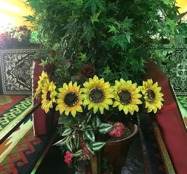 دکوراسیون داخلی رستوران جویبار با گلدان بزرگ حاوی گلهای آفتابگردان و گیاهان سبز، فضایی دلنشین و زیبا برای مشتریان.