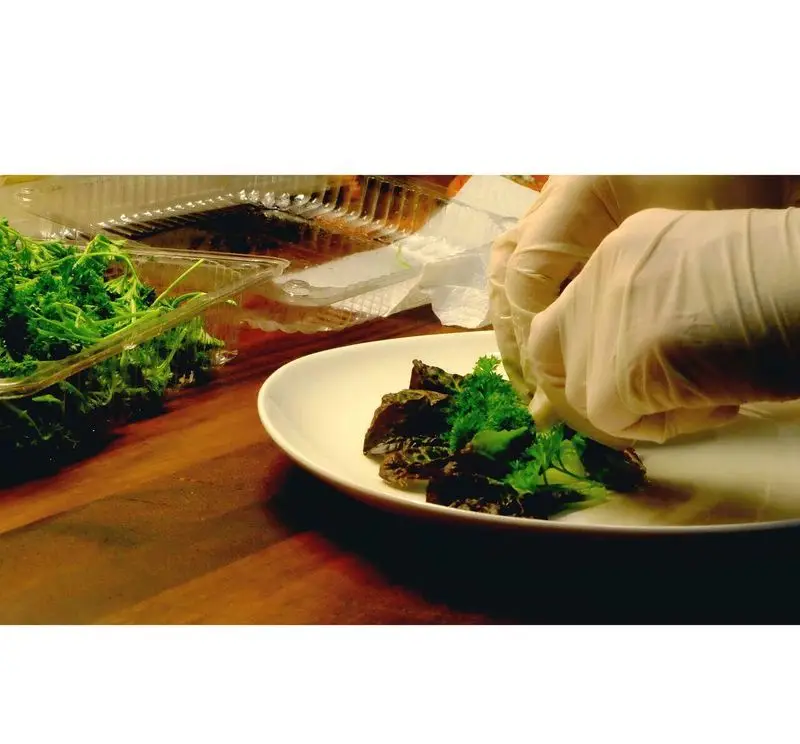 آماده‌سازی دقیق و بهداشتی غذا در کافه پاییزا. تزئین هنرمندانه یک بشقاب خوراکی تیره با جعفری سبز تازه توسط آشپز حرفه‌ای.