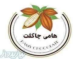 لوگوی هامی چاکلت، فروشگاه اینترنتی شکلات و آبنبات با تصویر غلاف‌های کاکائو و برگ‌های سبز، ویژه خرید آنلاین محصولات باکیفیت.