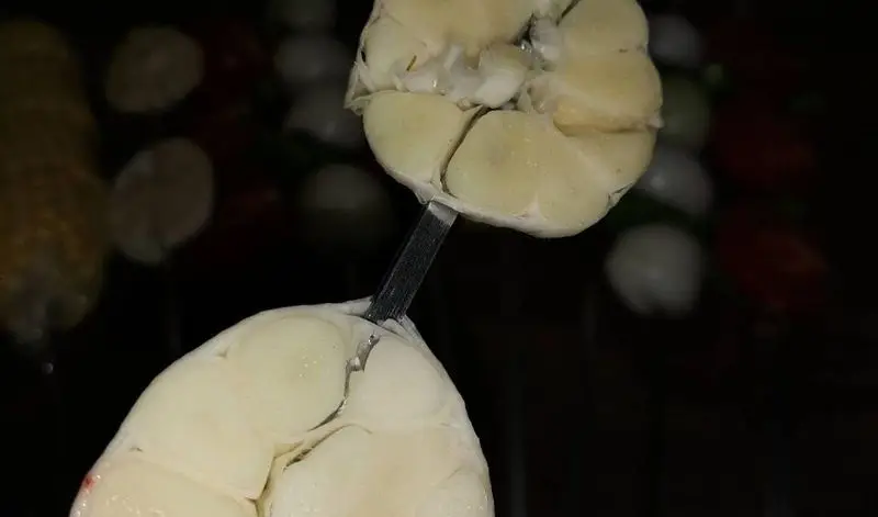 برش‌های تازه و باکیفیت دل یا قلوه بر روی سیخ، آماده طبخ کباب در جگرسرای گلشن. بهترین کباب دل و قلوه در شهر.