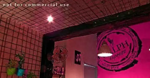 دکوراسیون داخلی کافه رستوران توپیچ با دیوار صورتی، لوگوی رالف لورن، نورپردازی خاص و گیاهان گلدانی. فضایی مدرن و دلنشین.