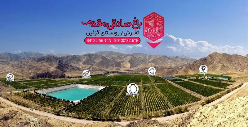 باغ بزرگ صادقی مقدم در روستای گرزئین تفرش، پرورش انار، سیب، انگور، پسته و زردآلو با مخزن آب مرکزی