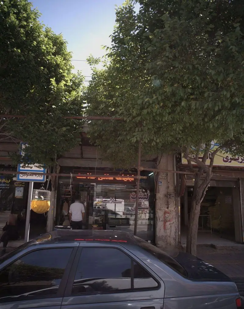 تصویر نمای بیرونی فروشگاه لبنیات سنتی سلامت، با ویترین شیشه‌ای، مشتری در حال خرید، درختان بلند و یک خودروی سواری پارک شده.