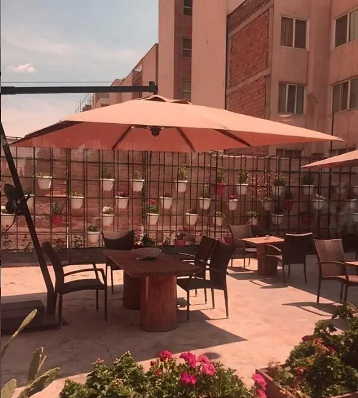 فضای باز دلنشین کافی شاپ جیلیز با چیدمان زیبا از میز و صندلی، سایه بان و دیوار سبز پر از گل و گیاه برای اوقاتی آرام.