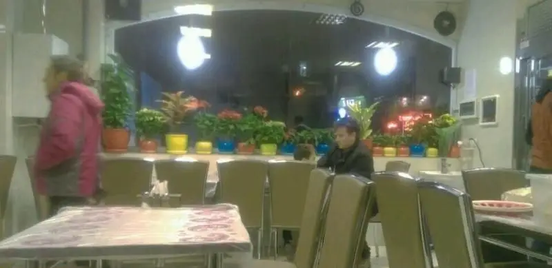 فضای داخلی جگر سرای سالار با دکوراسیون دلپذیر، گیاهان سبز، میز و صندلی‌های راحت و مشتریان در حال لذت بردن از محیط گرم.