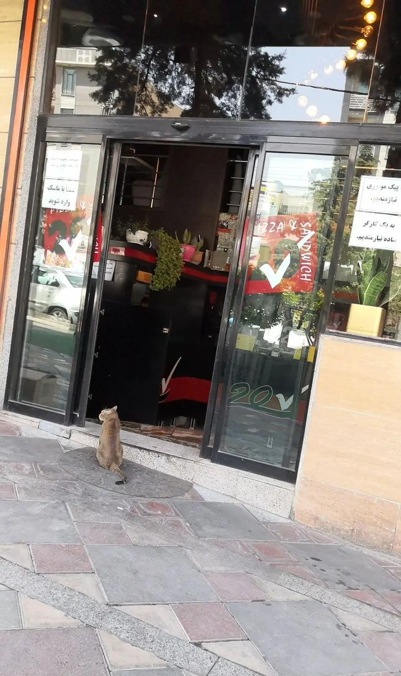 نمای بیرونی فست فود بیست تیک با ورودی شیشه‌ای، گربه‌ای کنجکاو نشسته جلوی درب، تابلو پیتزا و ساندویچ. همچنین آگهی استخدام و ضرورت ماسک قابل مشاهده است.