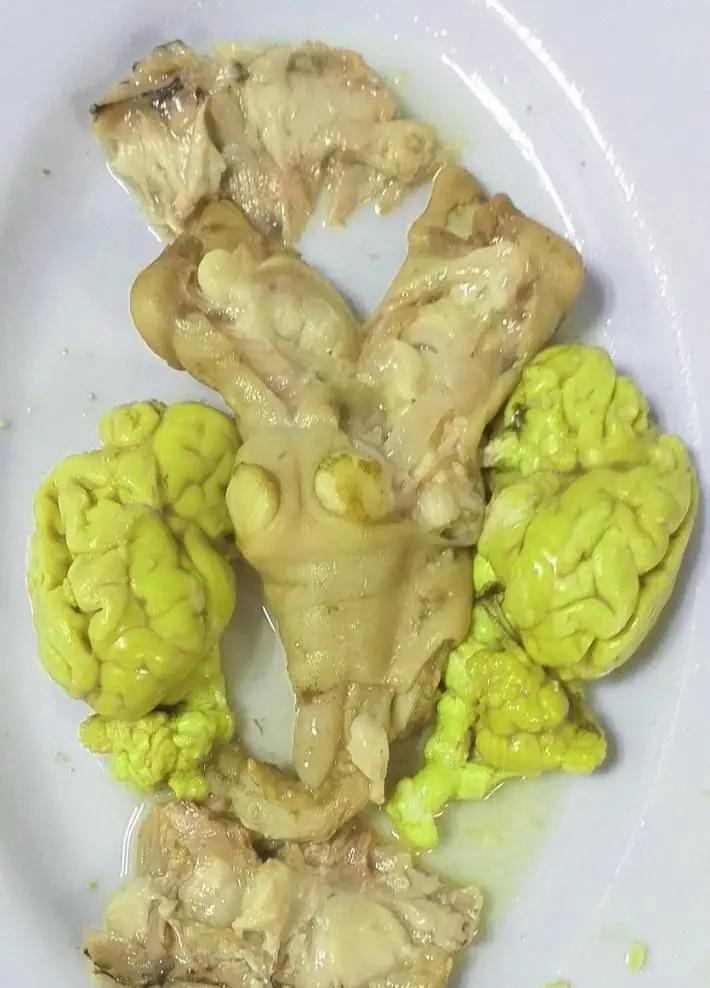 غذای خاص رستوران سان لیو: خوراکی سنتی و منحصر به فرد شامل گوشت پخته و قسمت‌های مغز مانند سبز رنگ. لذیذ و متفاوت.