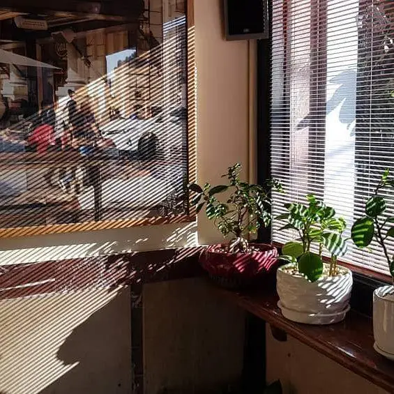 کافه لینت: محیطی گرم و دنج با نور آفتاب از پنجره کرکره‌ای، سایه‌های زیبا، گیاهان زینتی و تصویری جذاب بر دیوار.