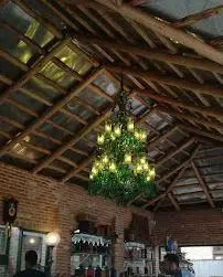 فضای داخلی کافه روحی در محوطه باغ نگارستان با سقف چوبی، لوستر درختی شکل و دیوار آجری، فضایی دنج و سنتی دارد.