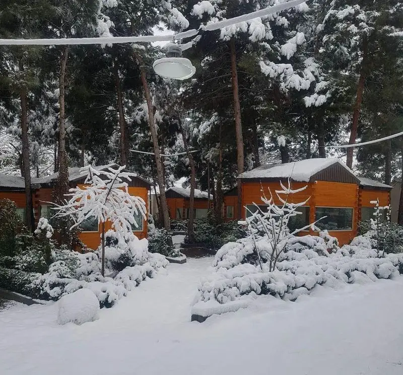 منظره زمستانی خیره‌کننده باغ رستوران بهشت پنهان با کلبه‌های چوبی دنج، درختان بلند پوشیده از برف و مسیری سپید در آرامش.