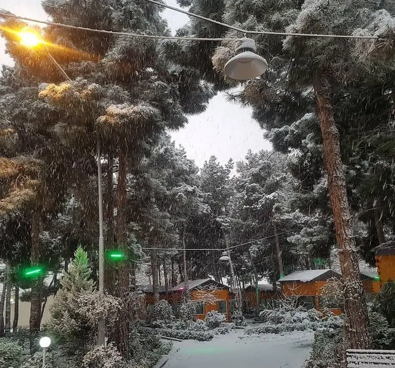 منظره زمستانی باغ رستوران بهشت پنهان با درختان پوشیده از برف، کلبه‌های چوبی و نورپردازی محیطی دلنشین در هوای برفی.