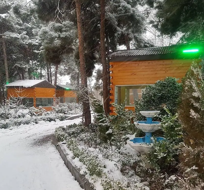 منظره برفی و دلنشین باغ رستوران بهشت پنهان، با کلبه‌های چوبی دنج و طبیعت زمستانی پوشیده از برف.
