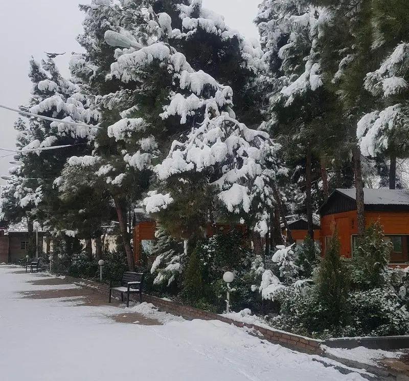 تصویر زمستانی باغ رستوران بهشت پنهان، با درختان کاج پربرف، کلبه‌های چوبی گرم و فضایی آرامش‌بخش برای تجربه بهار در زمستان.