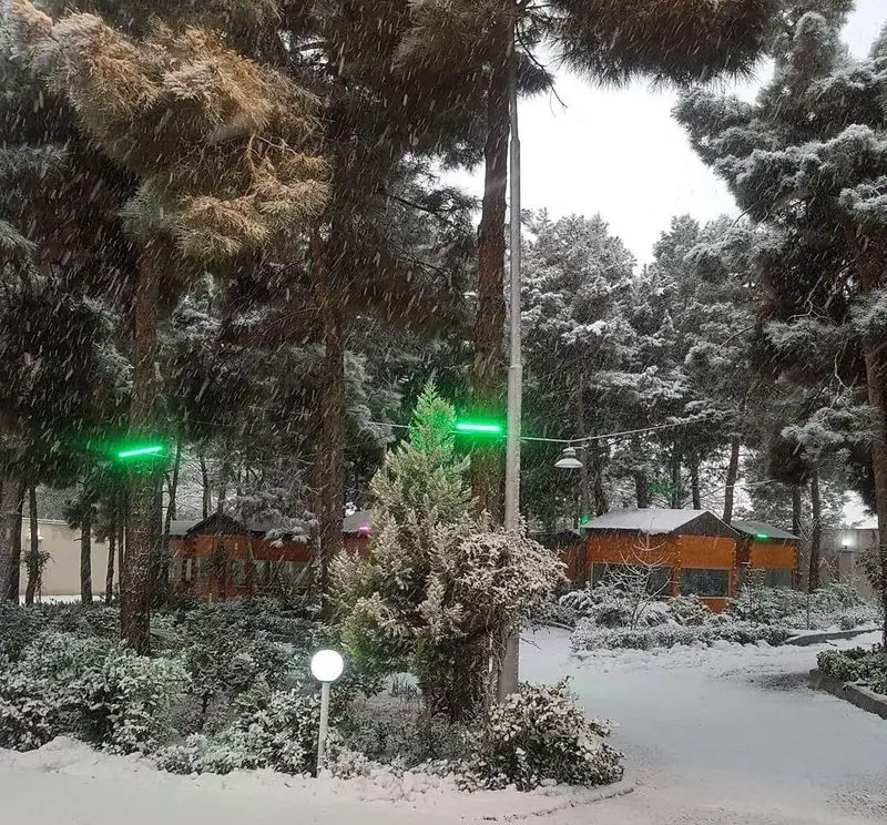 نمای برفی و دلنشین باغ رستوران بهشت پنهان در یک روز زمستانی، با درختان کاج پوشیده از برف و کلبه‌های چوبی گرم و صمیمی.