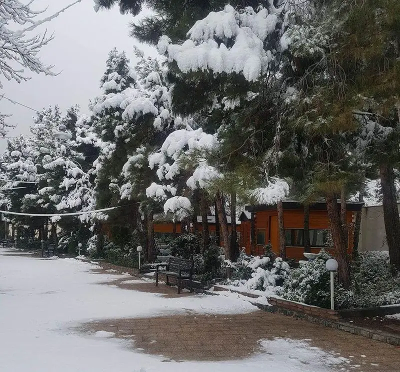 منظره زمستانی و برفی باغ رستوران بهشت پنهان با درختان کاج پوشیده از برف، کلبه‌های چوبی و مسیر سنگفرش شده.