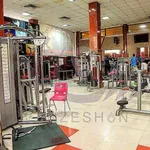 تصویر پروفایل مجموعه فرهنگی ورزشی قصر نشاط