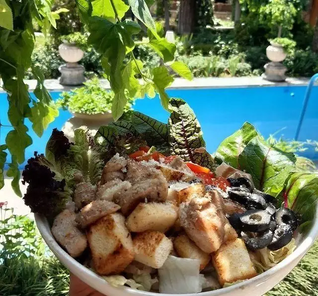 سالاد سزار مرغ با نان کروتون، زیتون و سبزیجات تازه در کافه گرین، محوطه موزه مقدم با چشم انداز استخر و فضای سبز.