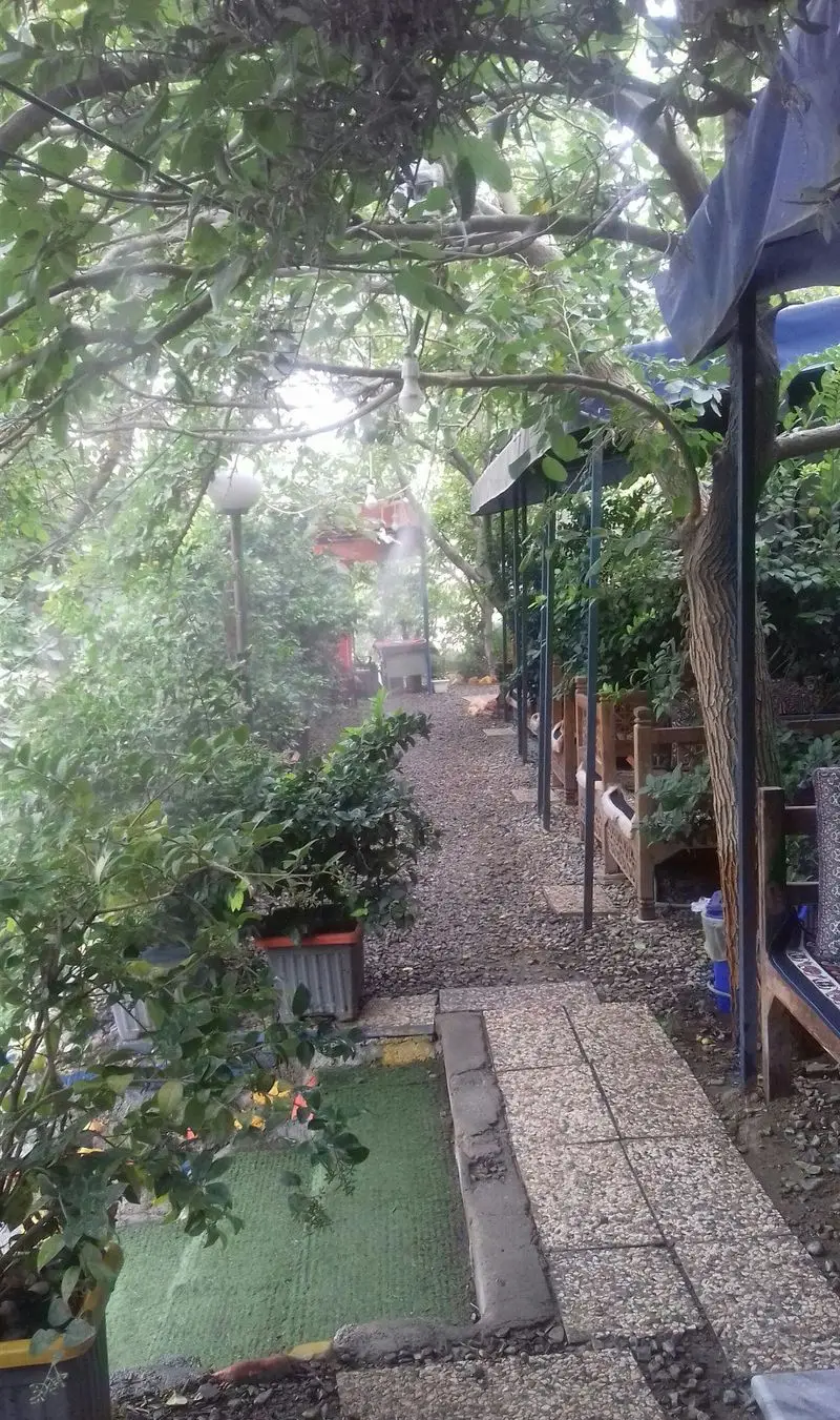 باغچه خانوادگی جگرسرا پونه با مسیر سنگفرش، فضای سبز و میست خنک برای لذت بردن از کباب و جگر در محیطی آرام.