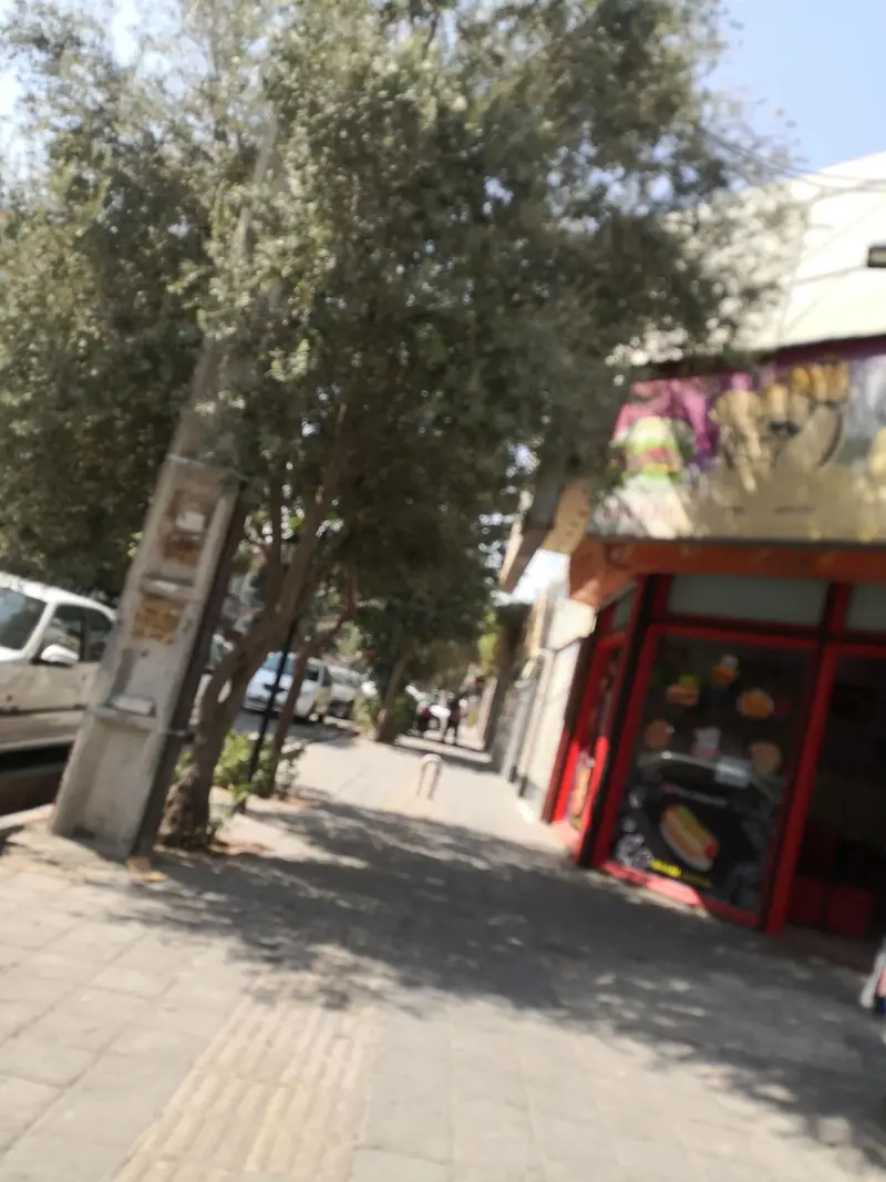 تصویری از ساندویچی دولپی در خیابانی شلوغ با درختان پربرگ و پیاده‌رویی آفتابی، نمای جلوی مغازه با ویترین غذاها.