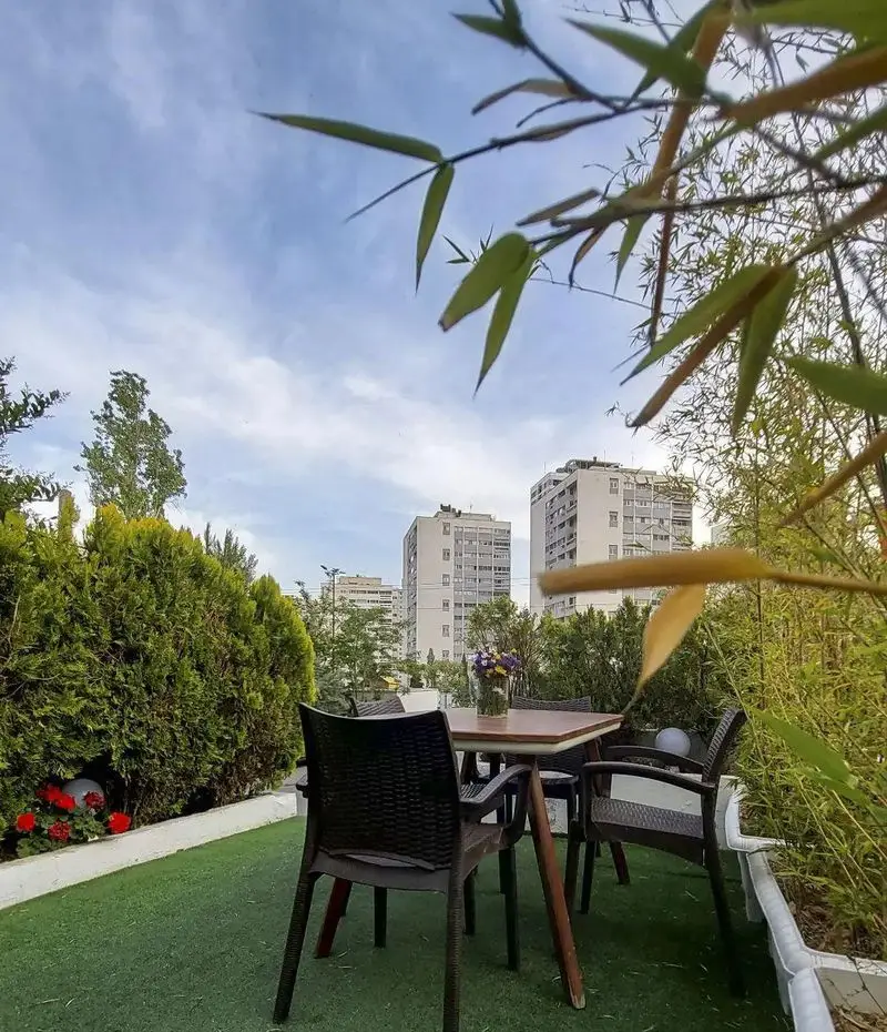 فضای باز کافه بینج: محیطی دلپذیر با میز و صندلی شیک، چمن مصنوعی، بامبو و گیاهان سرسبز، ایده آل برای استراحت در قلب شهر.