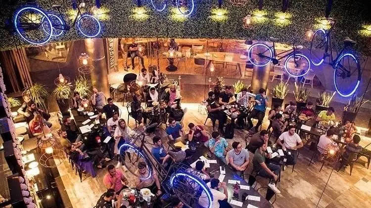 کافی شاپ رایدر، فضایی دلنشین و مدرن با دکوراسیون خاص شامل دوچرخه‌های نورانی معلق و گیاهان سرسبز، ایده‌آل برای دورهمی و نوشیدنی.