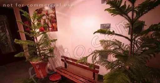 فضای داخلی دنج گریل ۴۵۸ با گلدان‌های درخت کاج مطبق، نیمکت چوبی برای انتظار و تابلوی هنری زیبا بر روی دیوار.