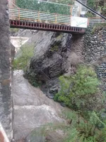 تصویر پروفایل رستوران باغ گیلاس