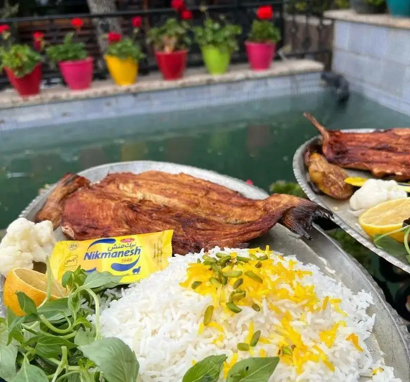 ماهی کباب لذیذ با برنج زعفرانی و سبزیجات تازه در فضای دلنشین باغ رستوران سایدا شهران، تجربه‌ای بی‌نظیر از غذای ایرانی.