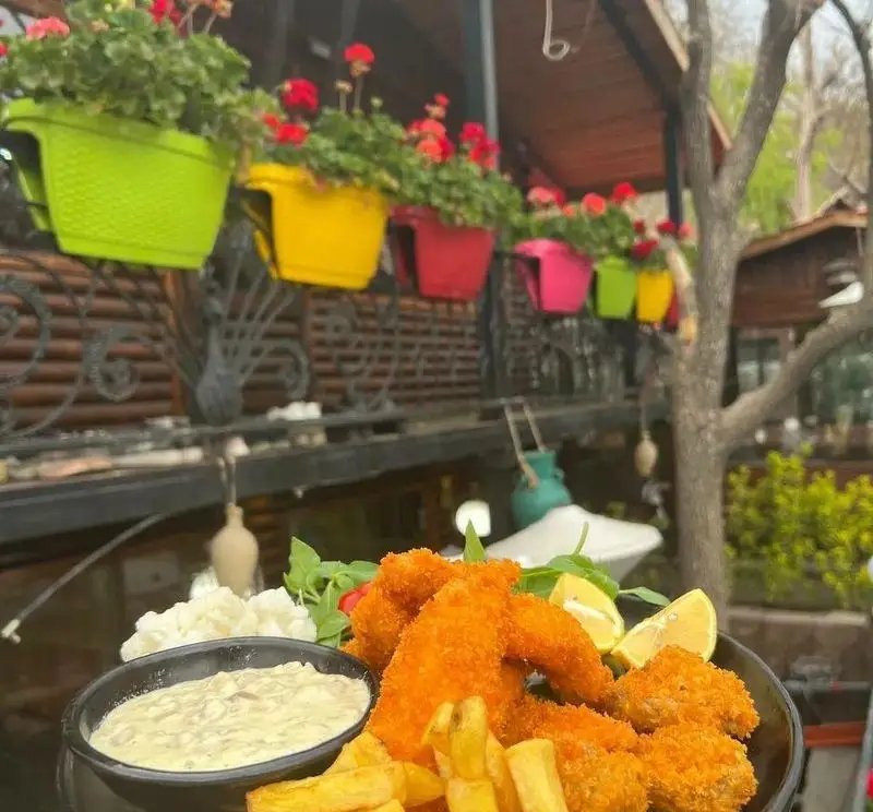 غذای خوشمزه فیله سوخاری و سیب زمینی در باغ رستوران سایدا شهران با بالکن زیبا و گلدان های رنگی، فضایی دلنشین برای مشتریان.