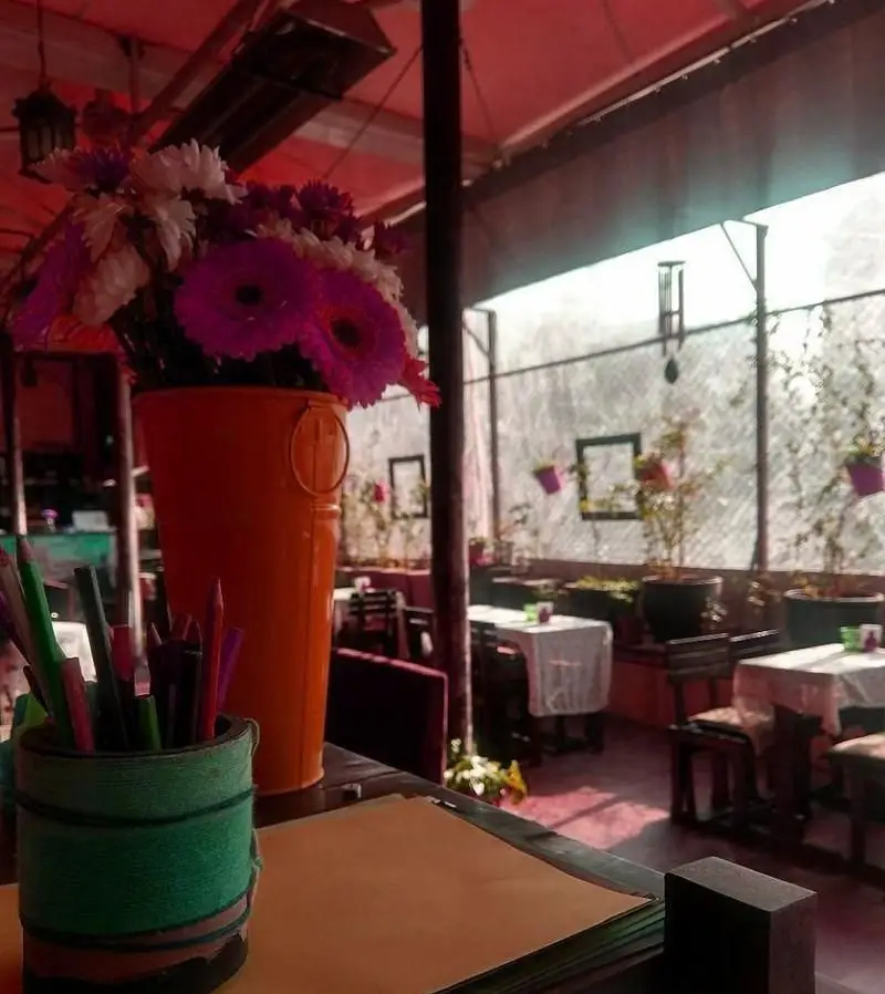 فضای دلنشین و دنج روف گاردن فست فود ایوان، با گل‌های رنگارنگ و میزهای چیده شده برای صبحانه، ناهار و شام در محیطی زیبا.