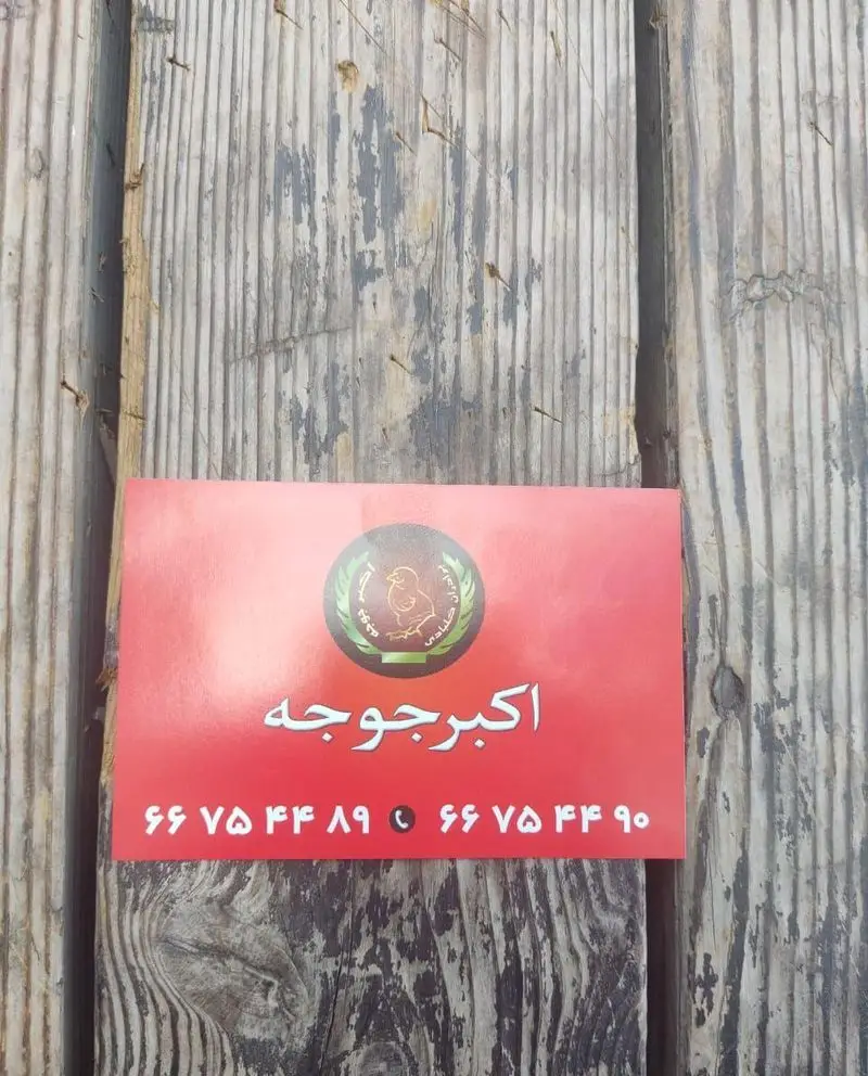 کارت ویزیت رستوران اکبر جوجه با لوگوی مرغ و شماره تماس ۶۶۷۵۴۴۸۹ و ۶۶۷۵۴۴۹۰، برای سفارش غذای ایرانی و جوجه کباب عالی.