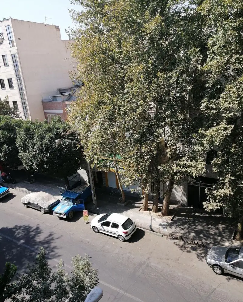 تصویری هوایی از خیابان و ساختمان‌های شهری در روز، با درختان و چندین خودرو پارک شده. تابلوی فلافل کیلویی میخکوب در میان درختان قابل مشاهده است.