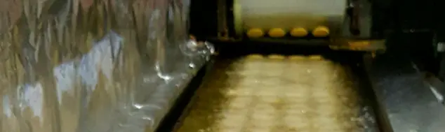 فرآیند تولید صنعتی فلافل های ترد و داغ در کارگاه فلافل کیلویی میخکوب، اطمینان از کیفیت و تازگی هر دانه فلافل.